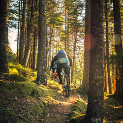 Mountain bike activity in Saint Léger Les Mélèzes